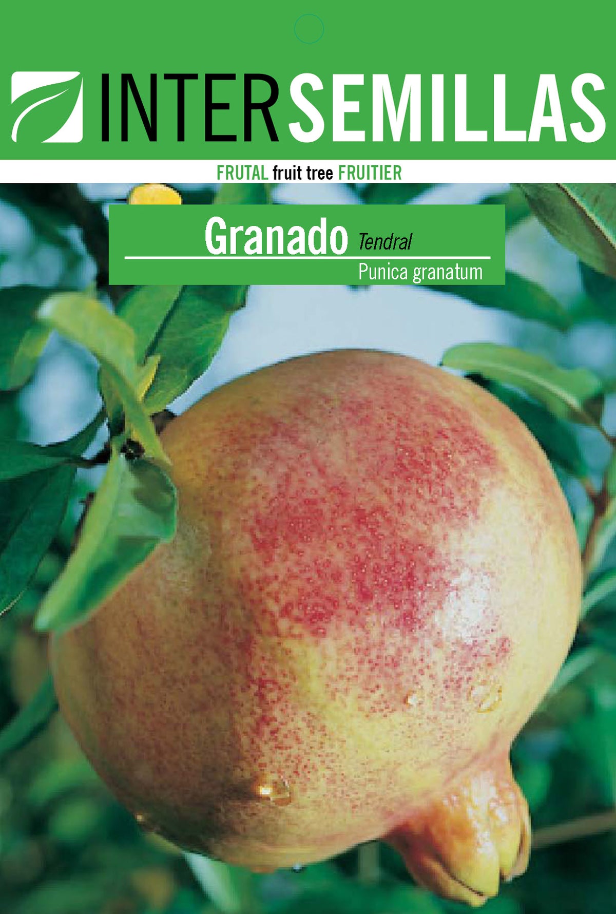 Frutal en bolsa Intersemillas - Granado Tendral