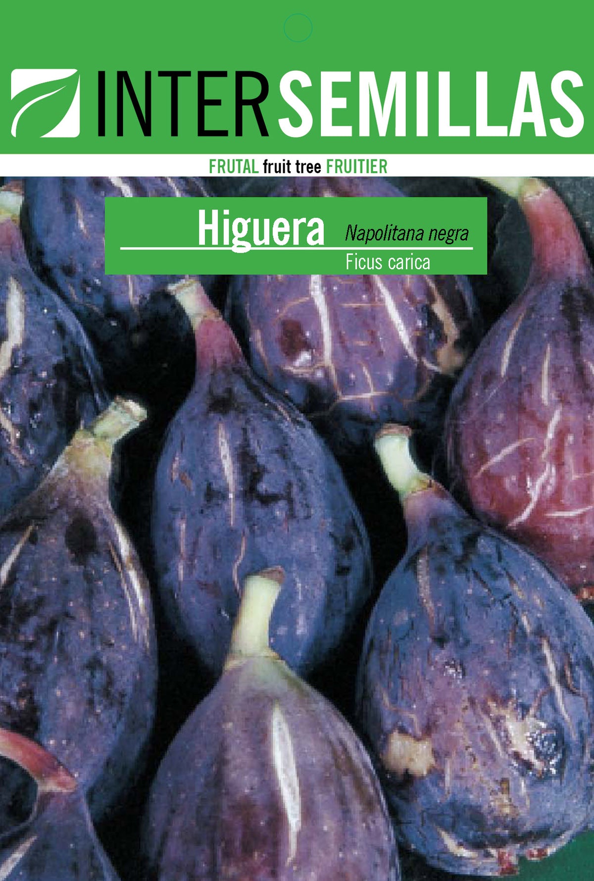 Frutal en bolsa Intersemillas - Higuera Napolitana Negra