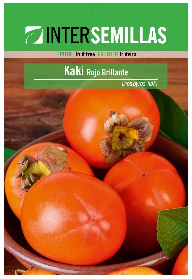 Frutal en bolsa Intersemillas - Kaki Rojo Brillante