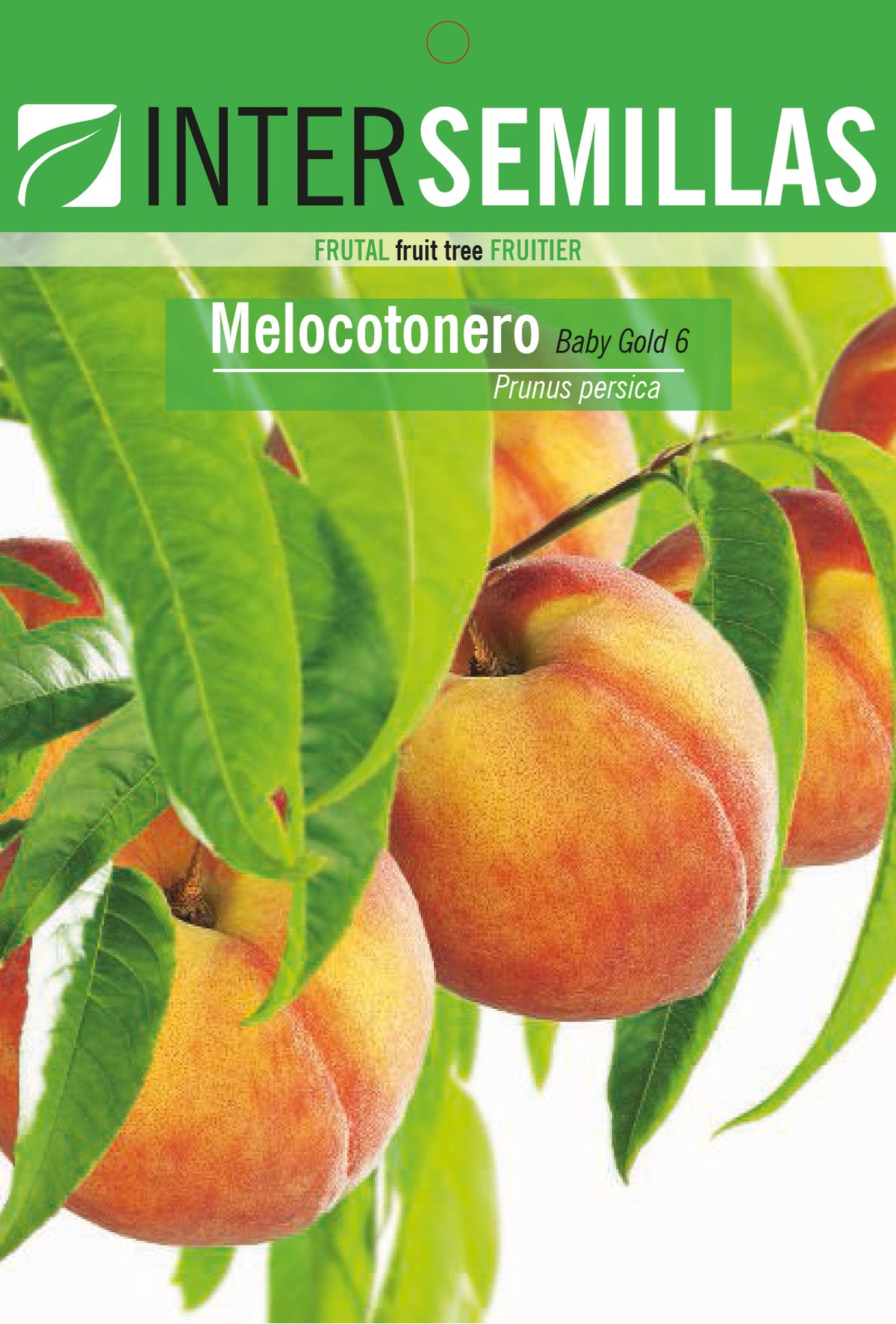 Frutal en bolsa Intersemillas - Melocotonero Baby Gold