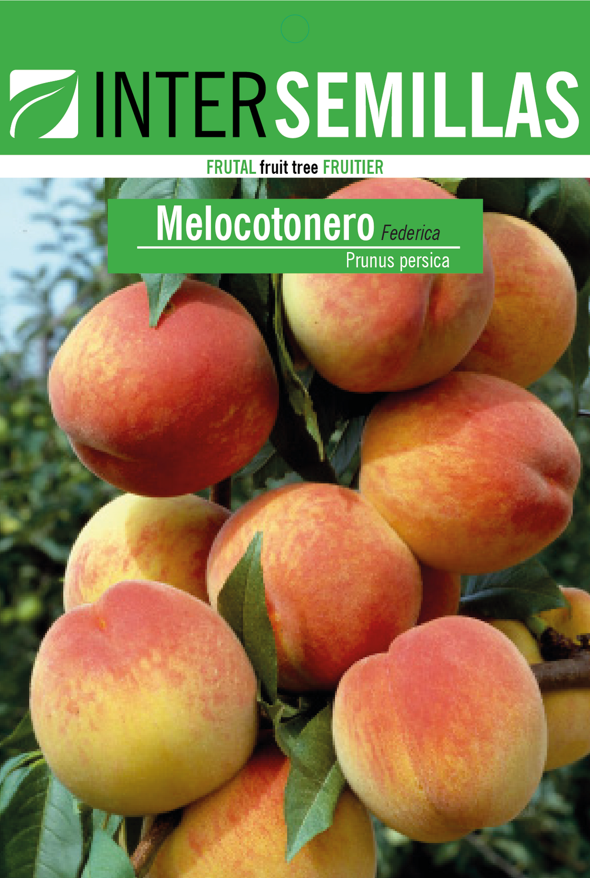Frutal en bolsa Intersemillas - Melocotonero Federica