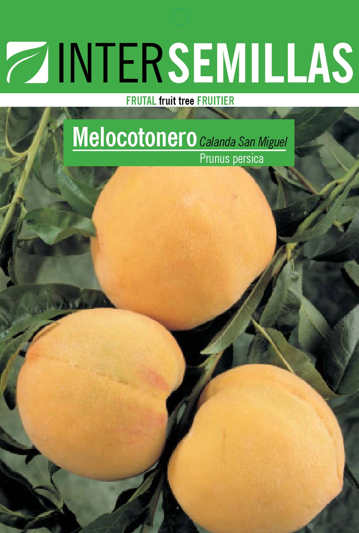 Frutal en bolsa Intersemillas - Melocotonero San Miguel