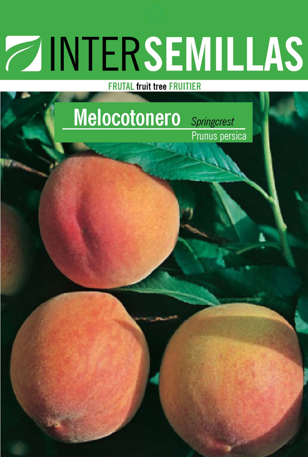 Frutal en bolsa Intersemillas - Melocotonero Springcrest
