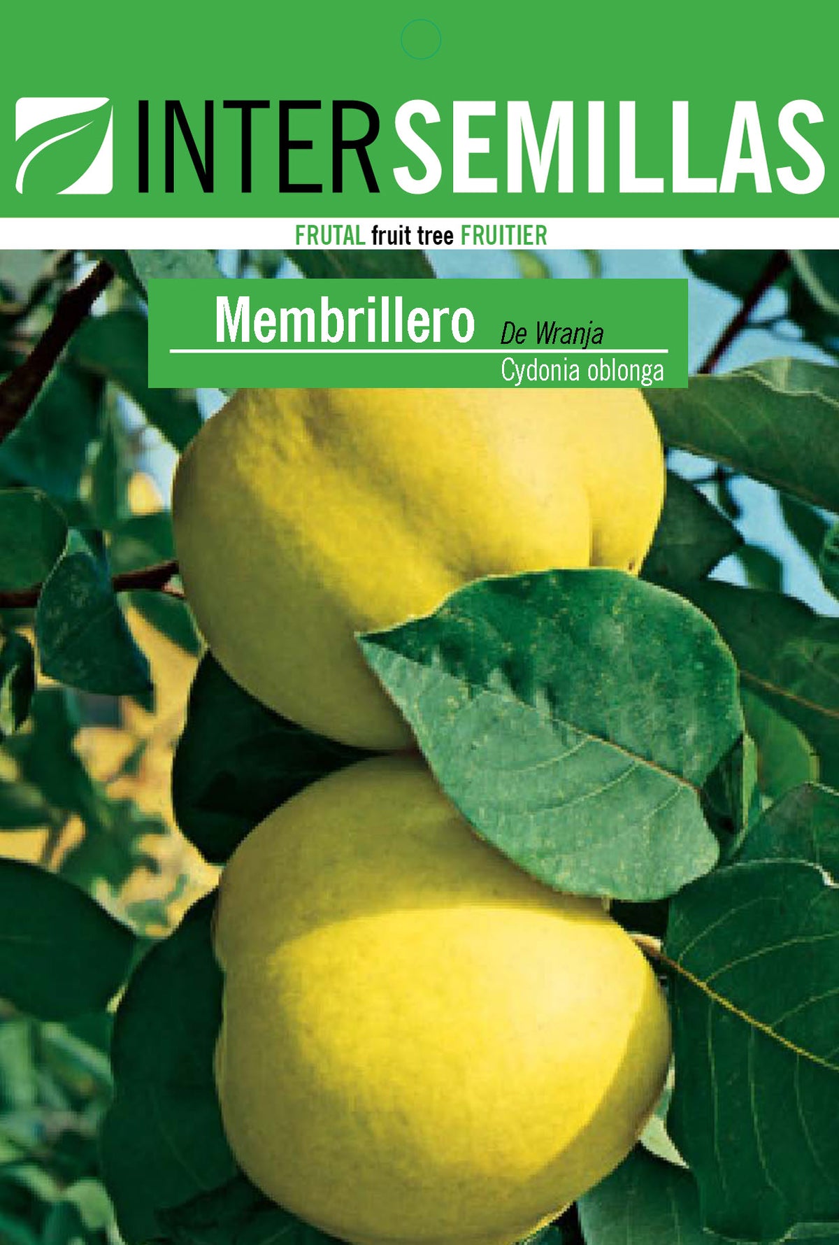 Frutal en bolsa Intersemillas - Membrillero de Wranja