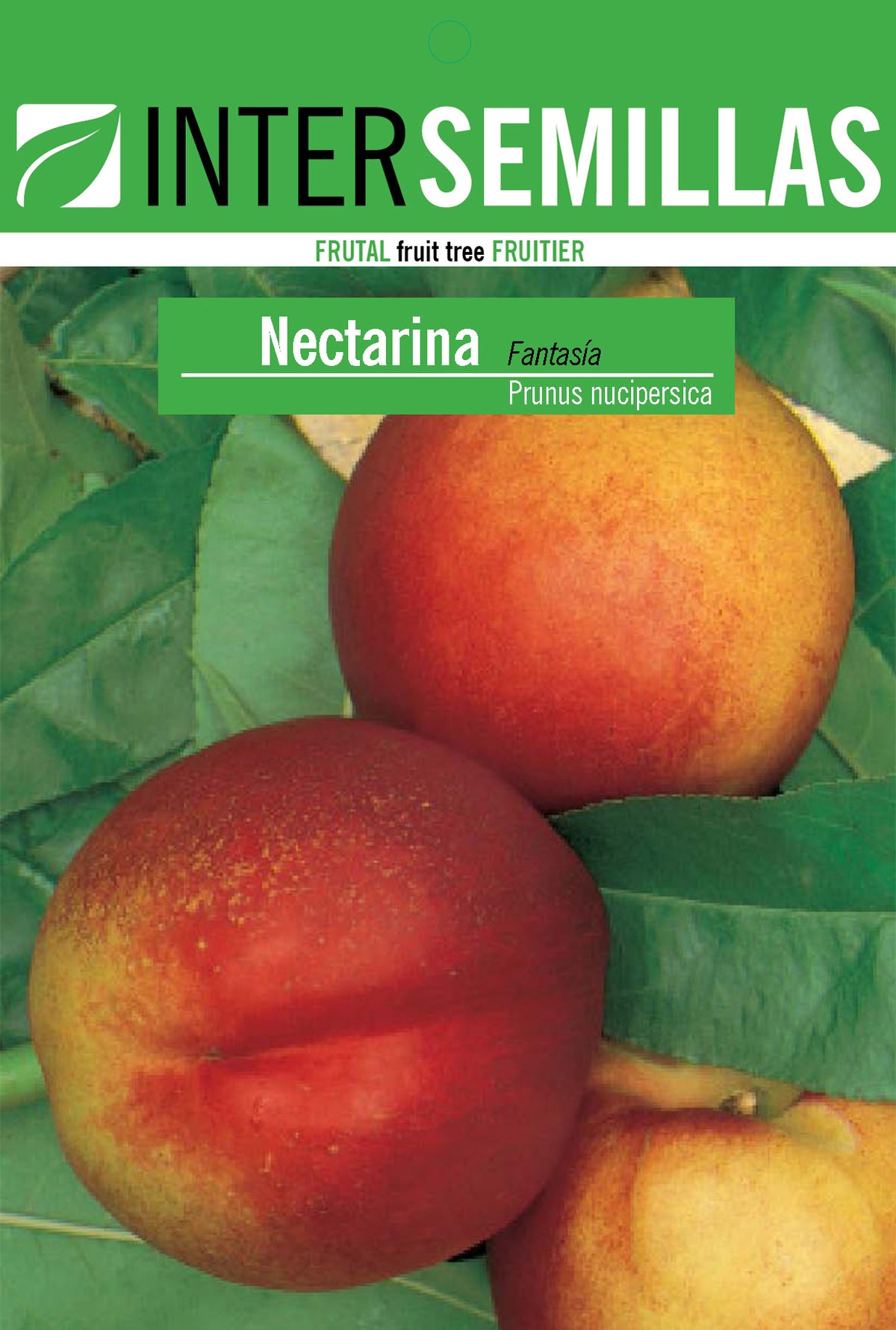 Frutal en bolsa Intersemillas - Nectarina Fantasía