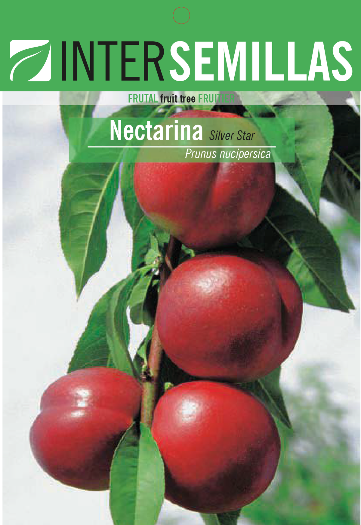 Frutal en bolsa Intersemillas - Nectarina Silver Star
