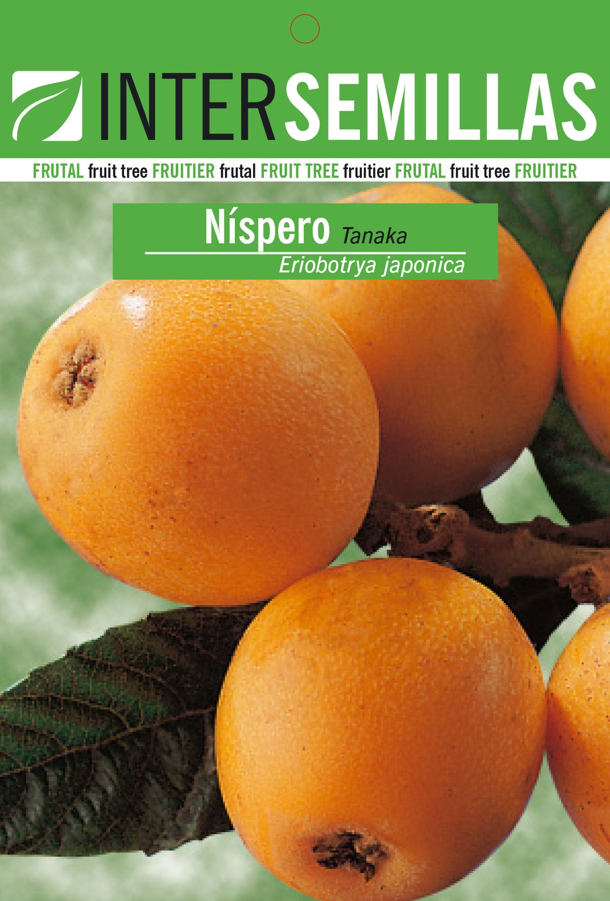 Frutal en bolsa Intersemillas - Nispero Tanaka
