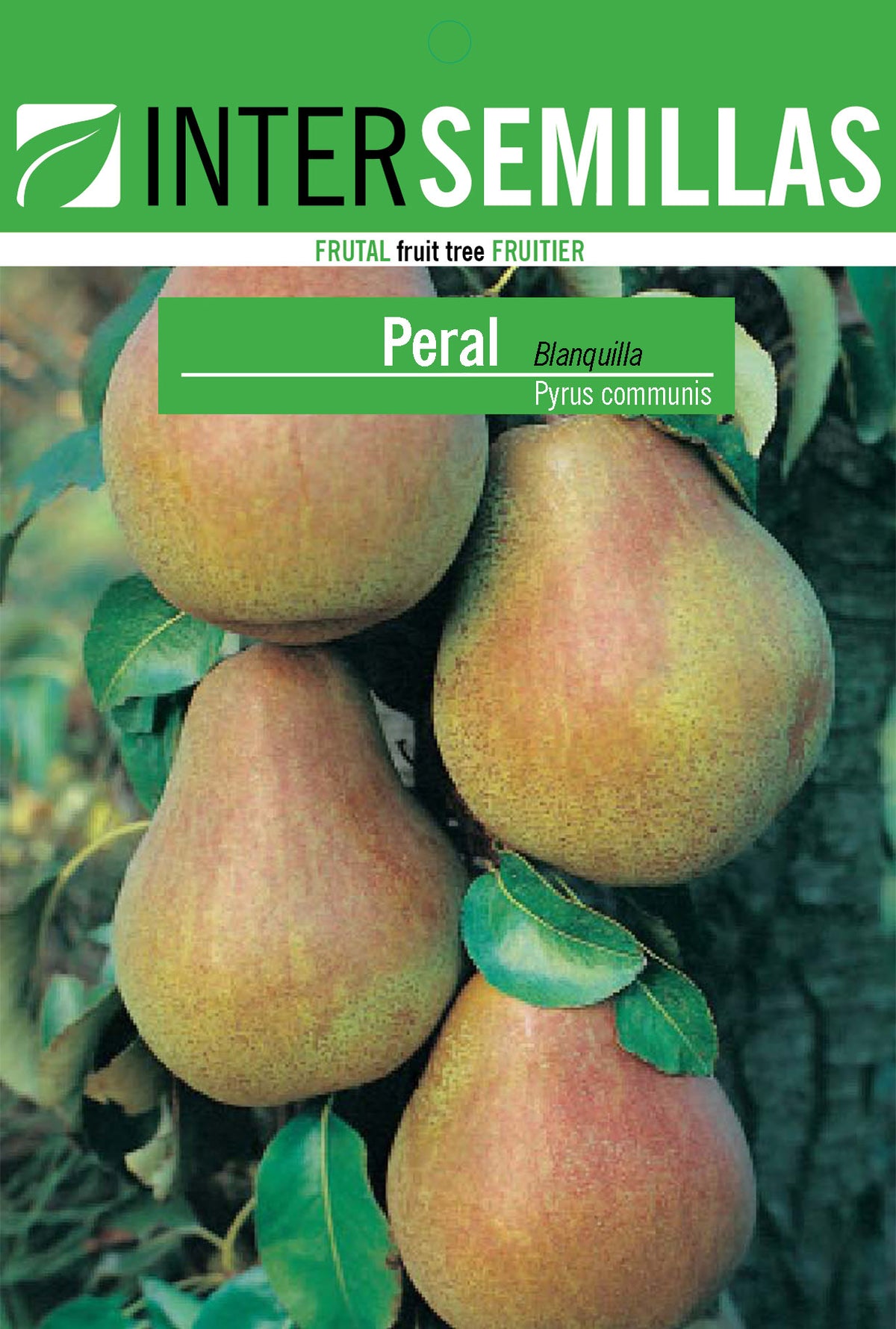 Frutal en bolsa Intersemillas - Peral Blanquilla