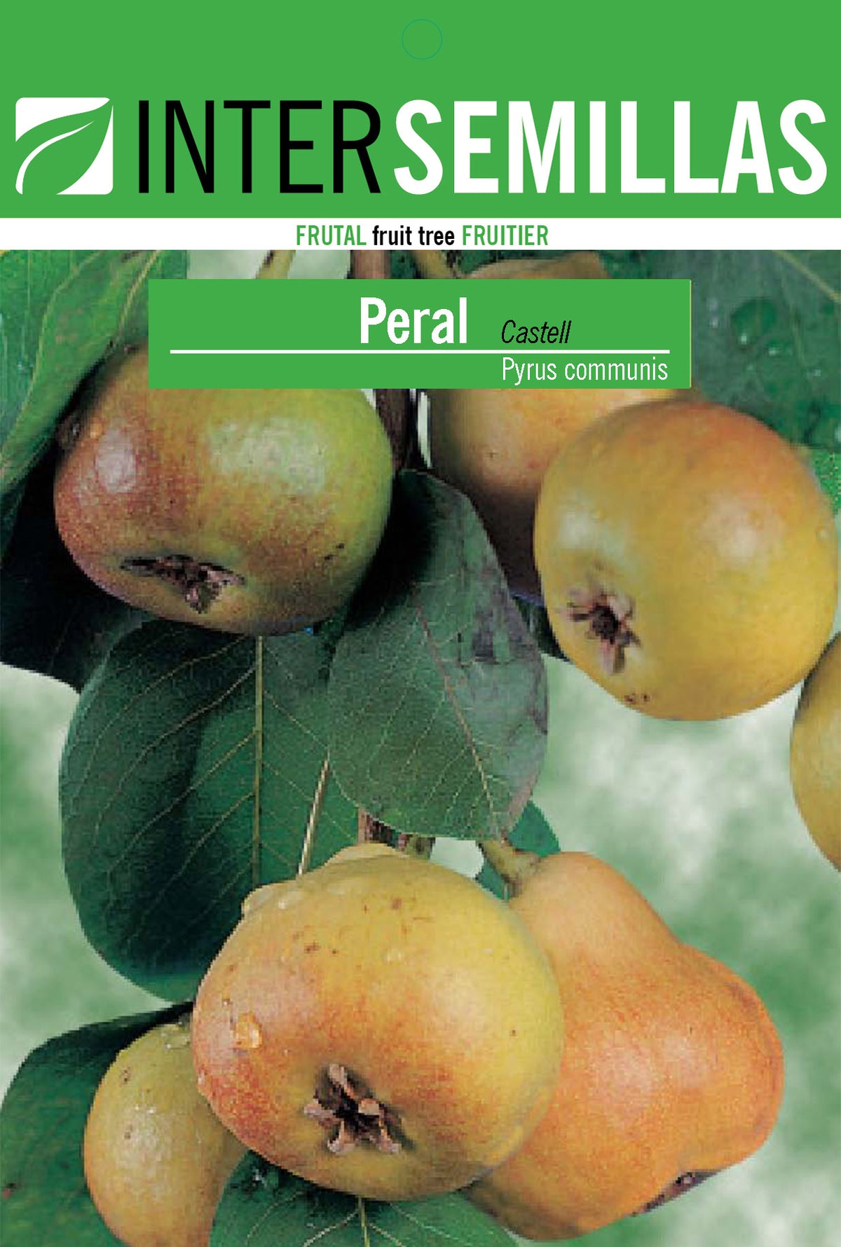 Frutal en bolsa Intersemillas - Peral Castell