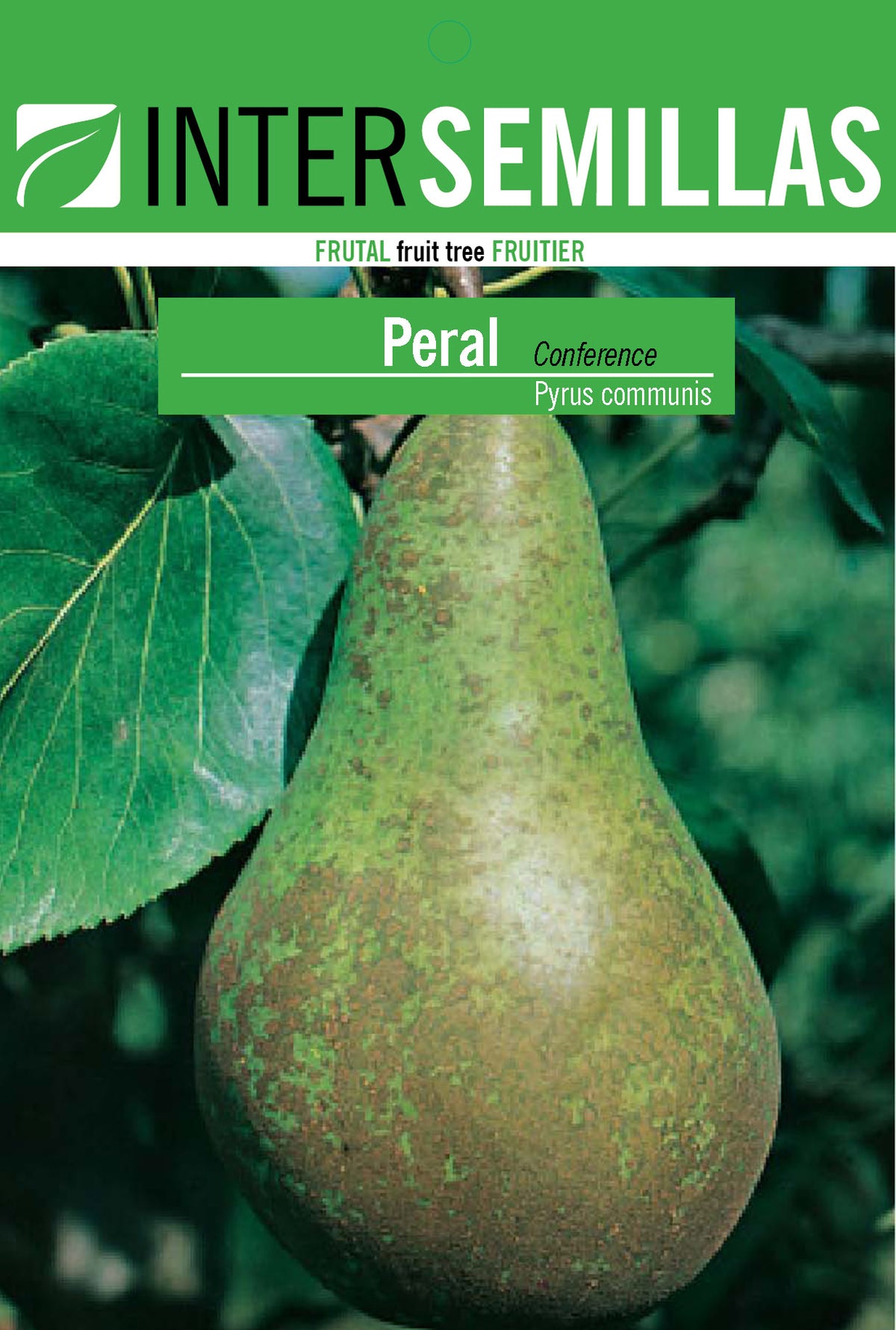 Frutal en bolsa Intersemillas - Peral Conference