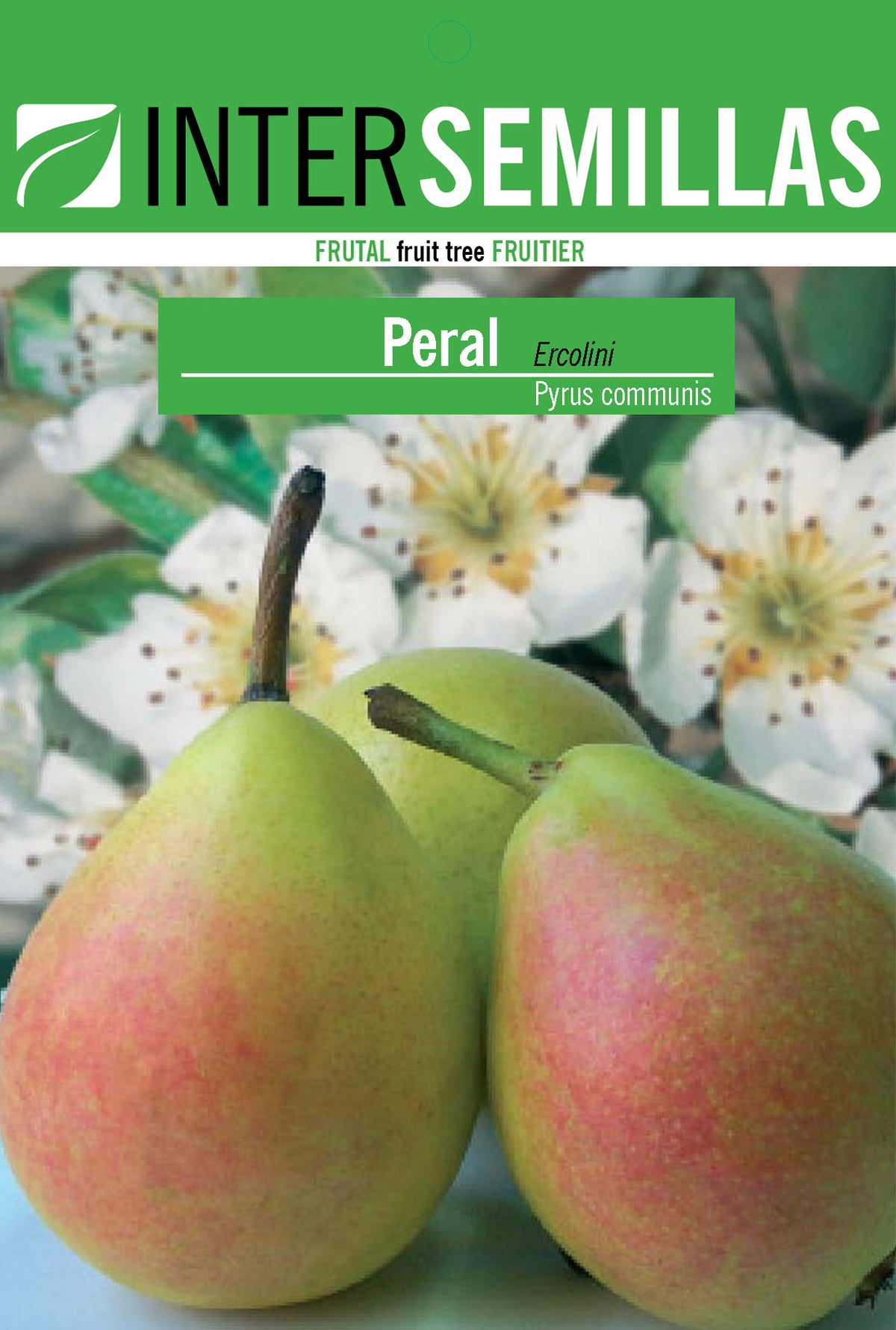 Frutal en bolsa Intersemillas - Peral Ercolini