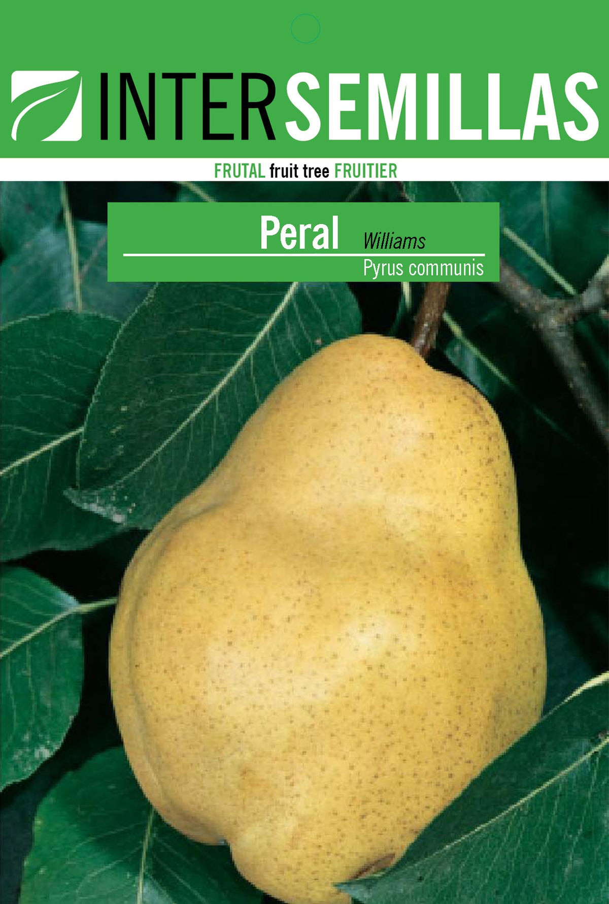Frutal en bolsa Intersemillas - Peral Williams