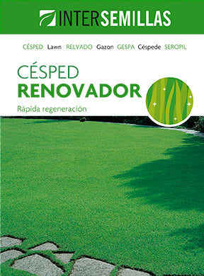 Intersemillas - Semillas de césped renovador