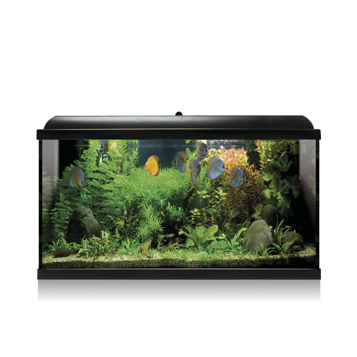 Aqua Led Pro 100 Negro