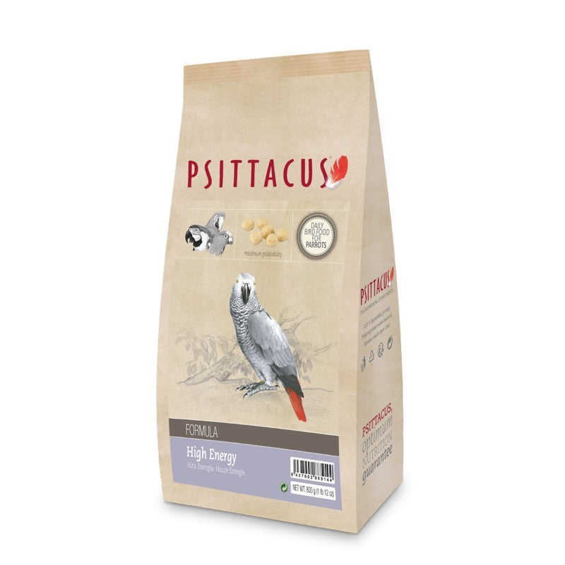 Psittacus - High Energy