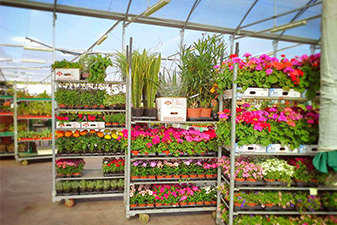 CentroJardineria-3