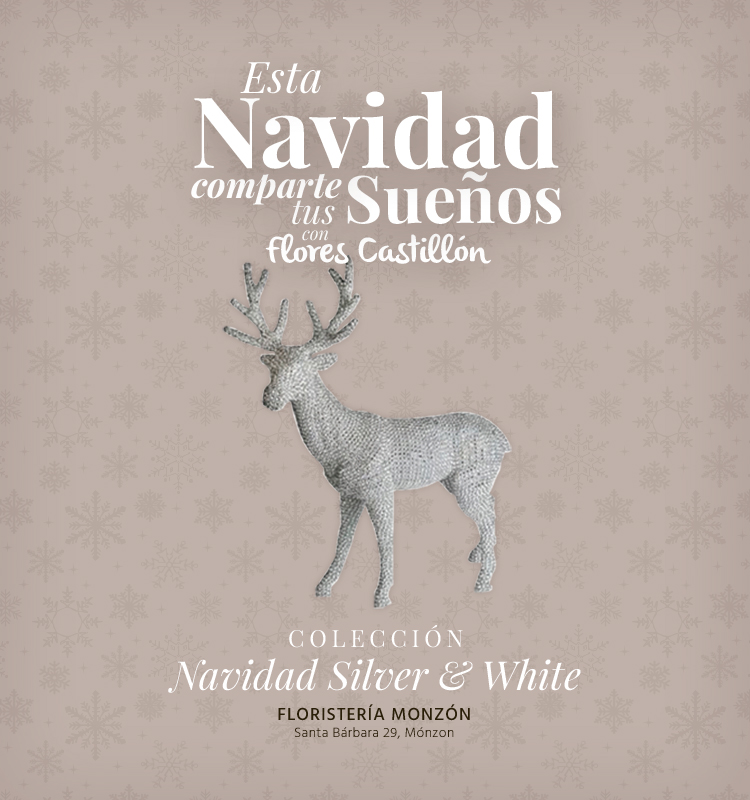 Navidad2014.Colección_Silver&White