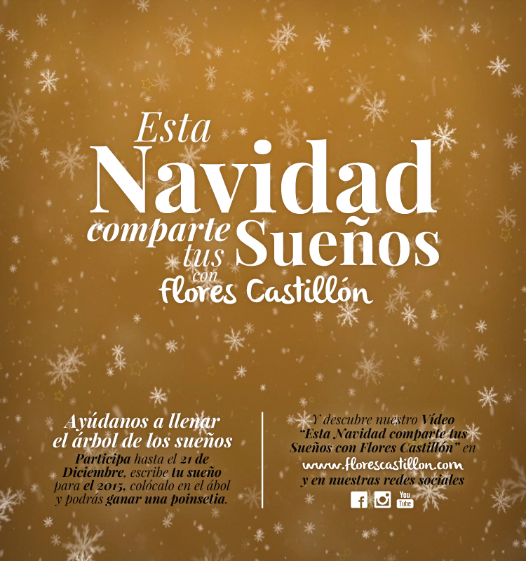 Navidad2014.Presentación