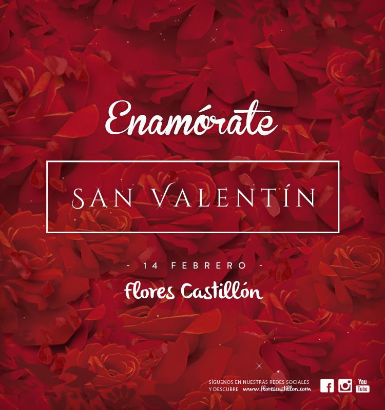 imagen_campaña_SanValentin2015