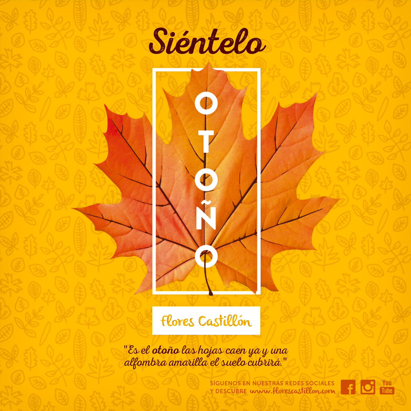 imagen_campaña_otoño2015