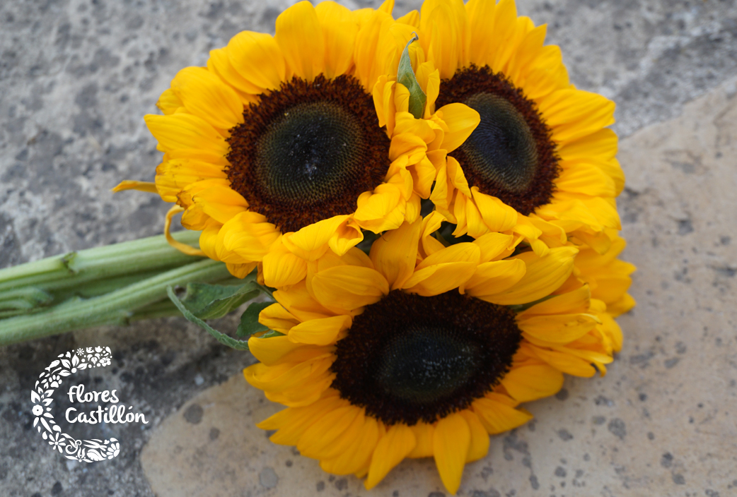 RAMO-DE-NOVIA-CON-GIRASOLES