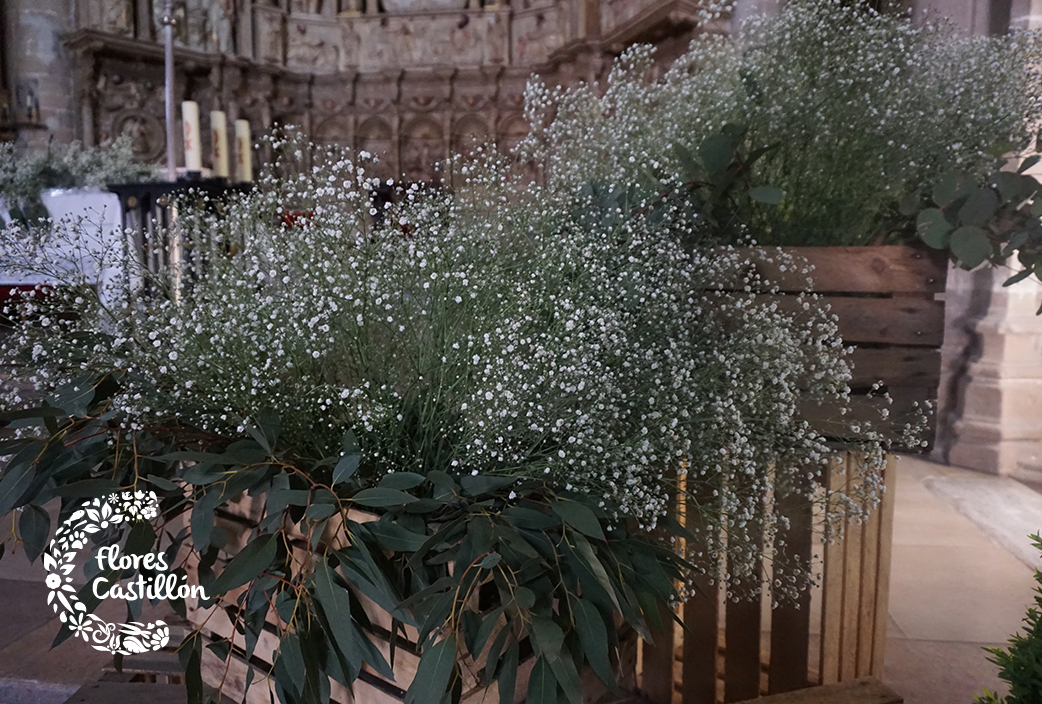 PANICULATA-BODA-NATURE