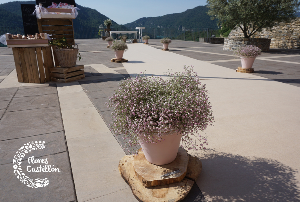 UNA-BODA-CON-ENCANTO-CON-PANICULATA