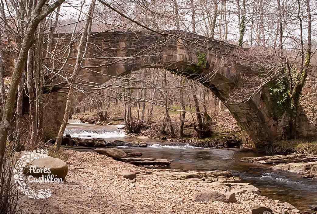 Parque-Natural-Gorbea