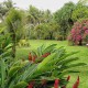 jardín tropical
