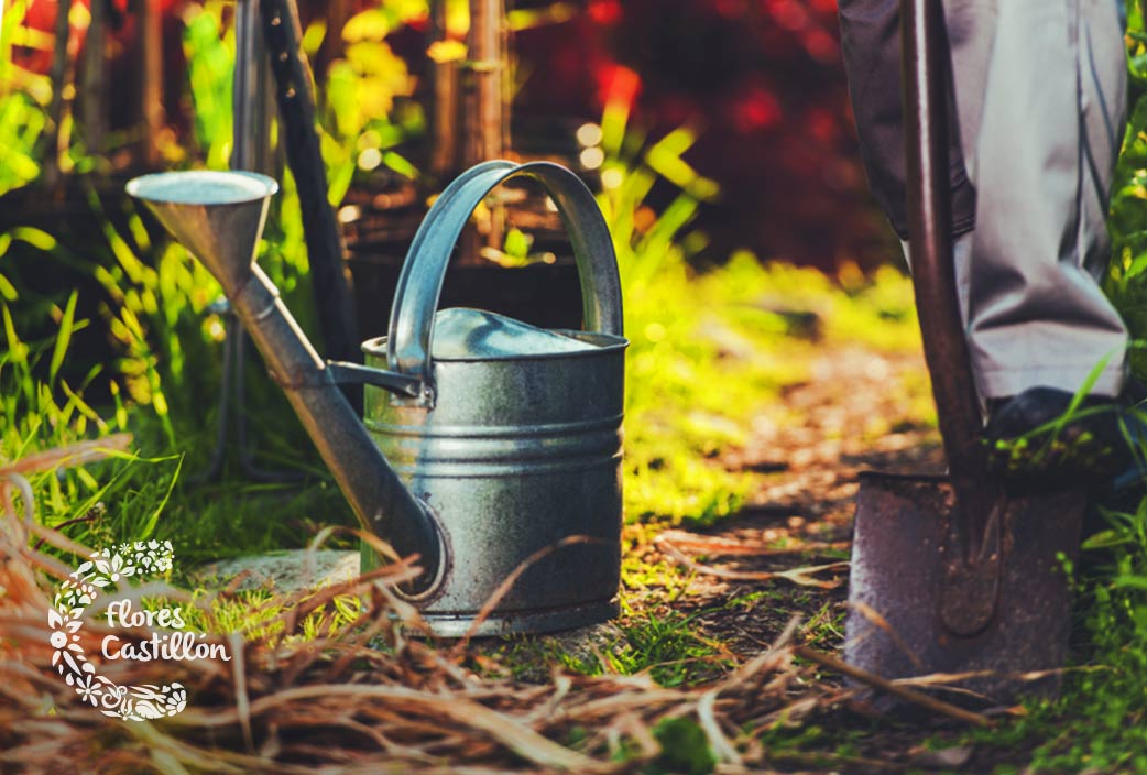 cuales son las mejores plantas para octubre