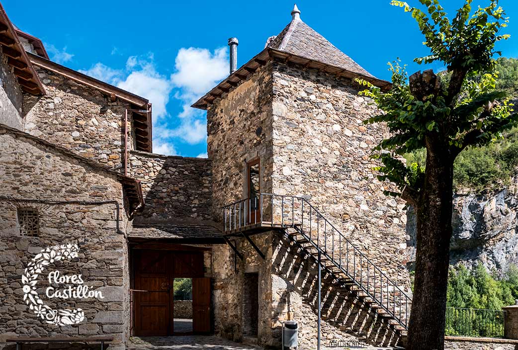 actividades boda ermita