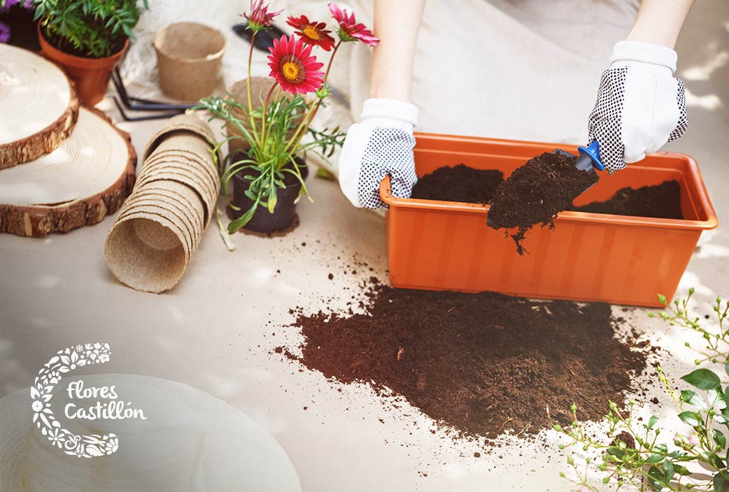 que fertilizante escoger para las plantas