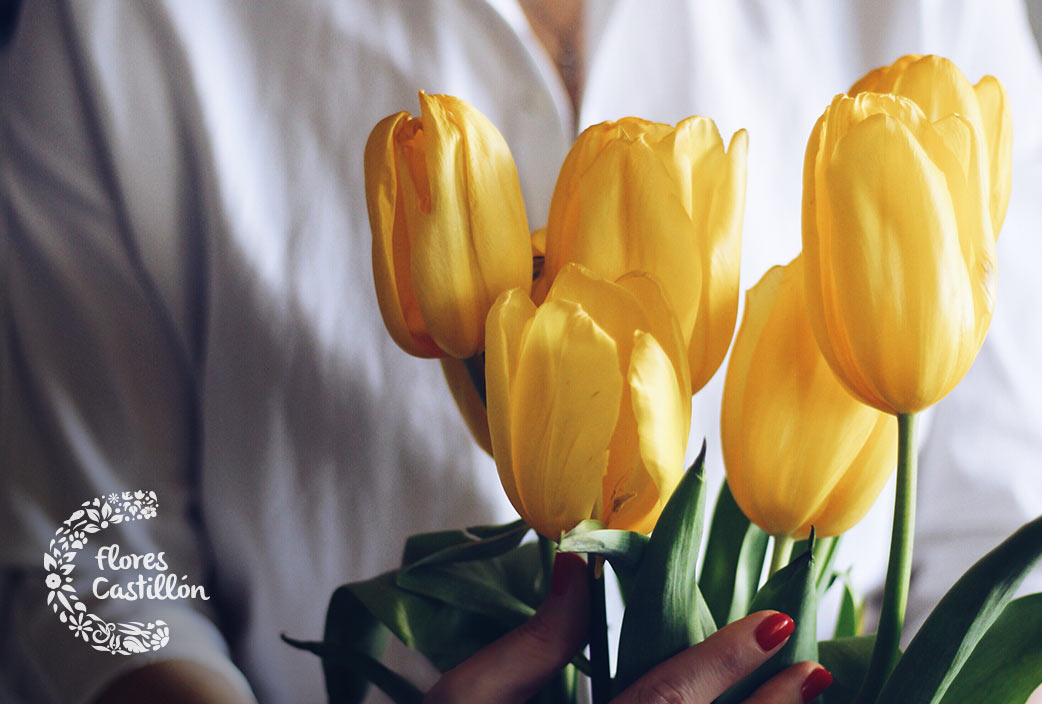 Qué significa el color de los tulipanes? | Flores Castillon