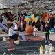 fiesta para niños en el centro de jardineria de flores castillon en barbastro