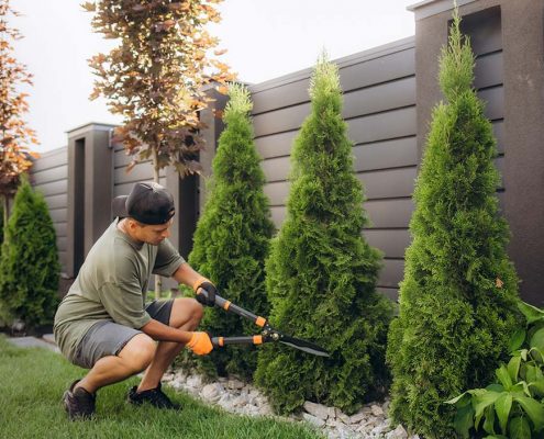 hombre preparando su jardín para primavera