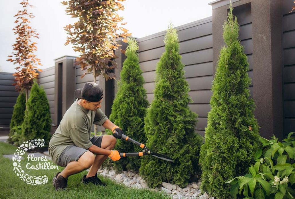 hombre preparando su jardín para primavera