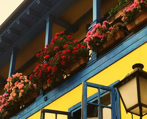 balcon con flores