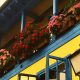 balcon con flores