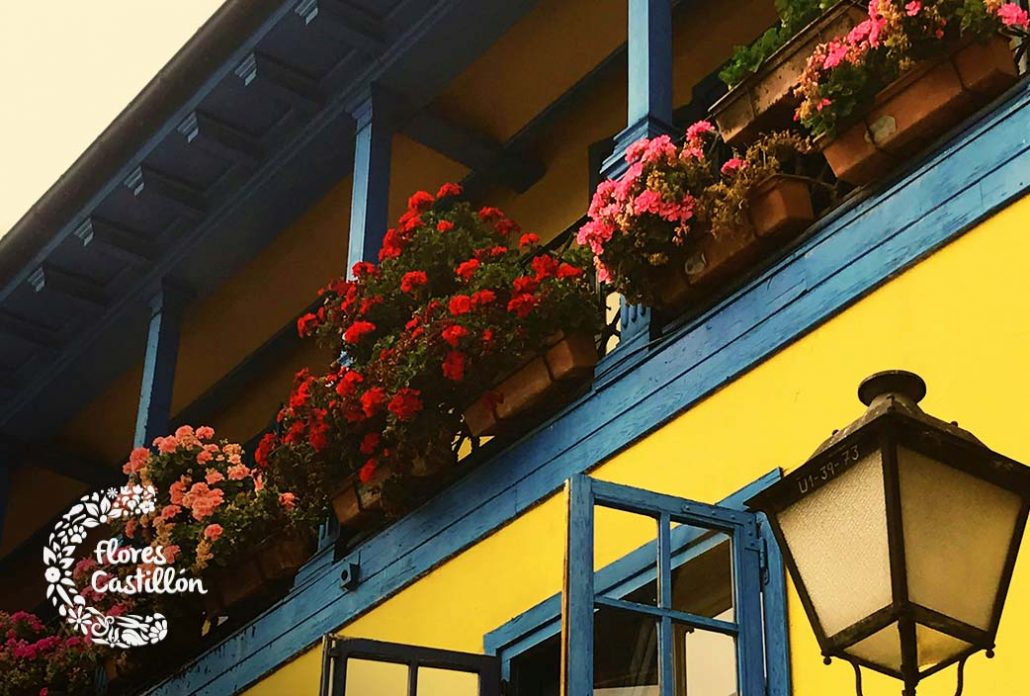 balcon flores