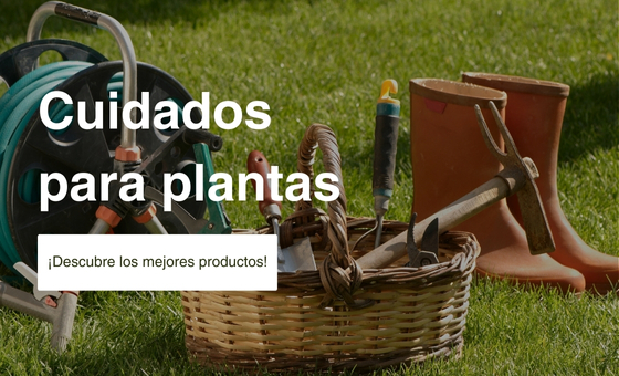 Cuidados para plantas