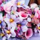 ramos flores primavera