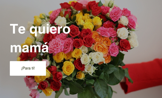 Día de la madre